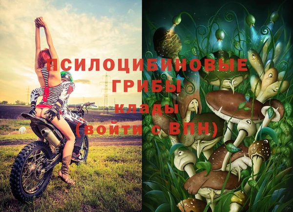 PSILOCYBIN Баксан