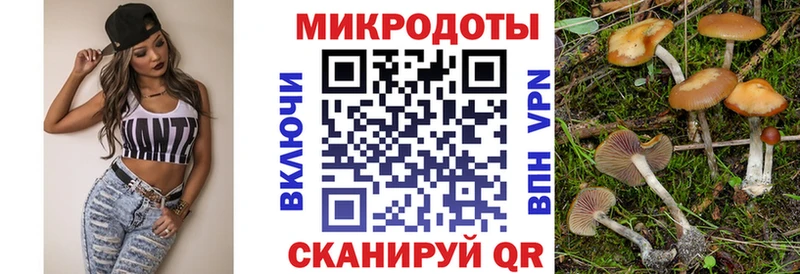 Псилоцибиновые грибы MAGIC MUSHROOMS Переславль-Залесский